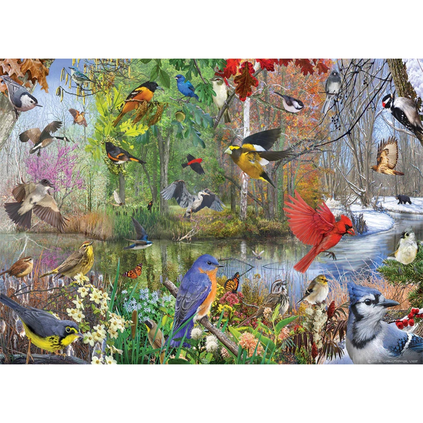 Birds of the Season | 1000 Piece