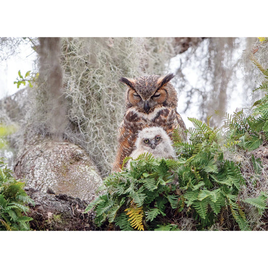 Great Horned Owl | 1000 pièces