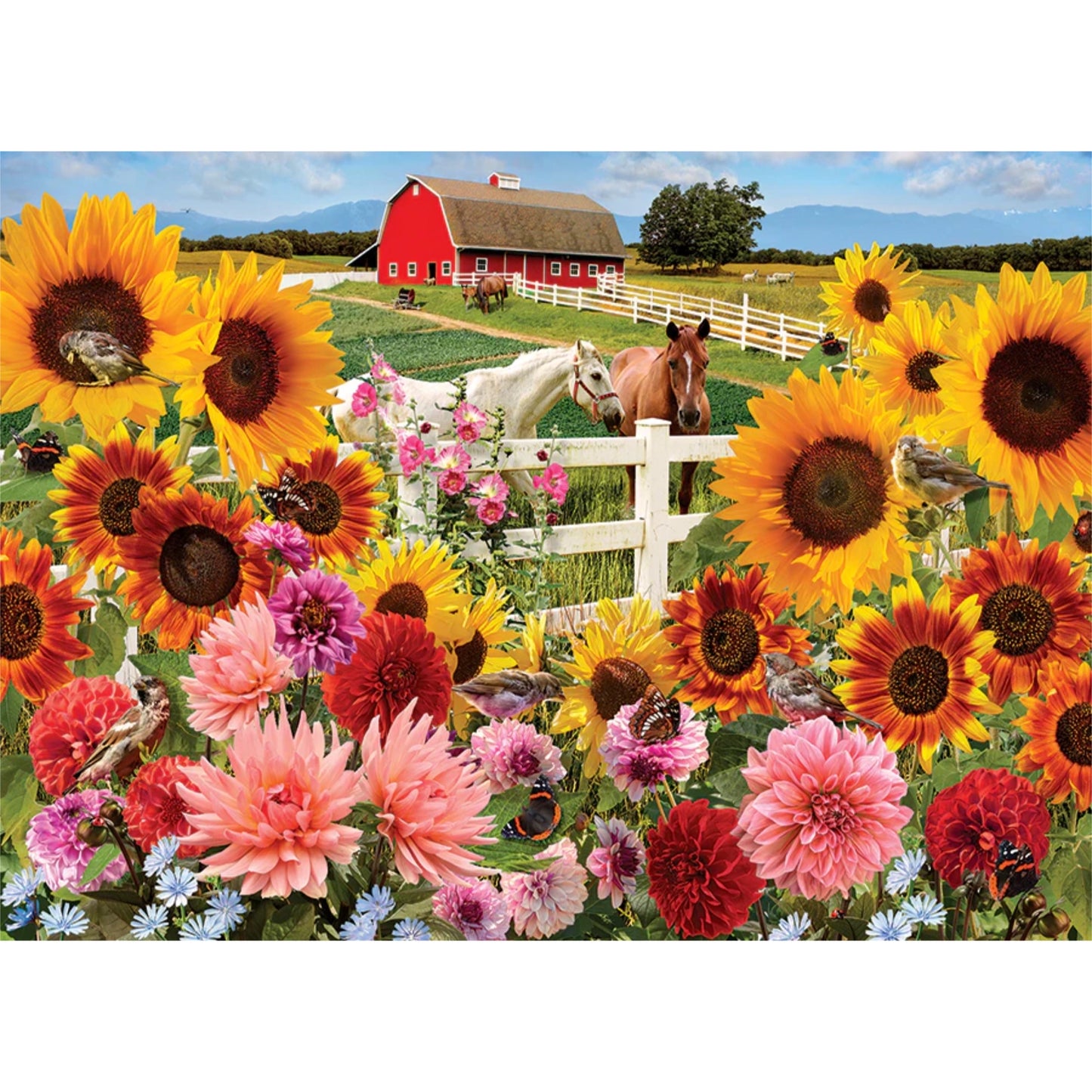 Sunflower Farm | 1000 pièces