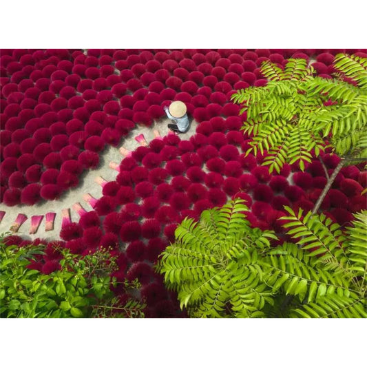 A Sea of Red | 500 piece