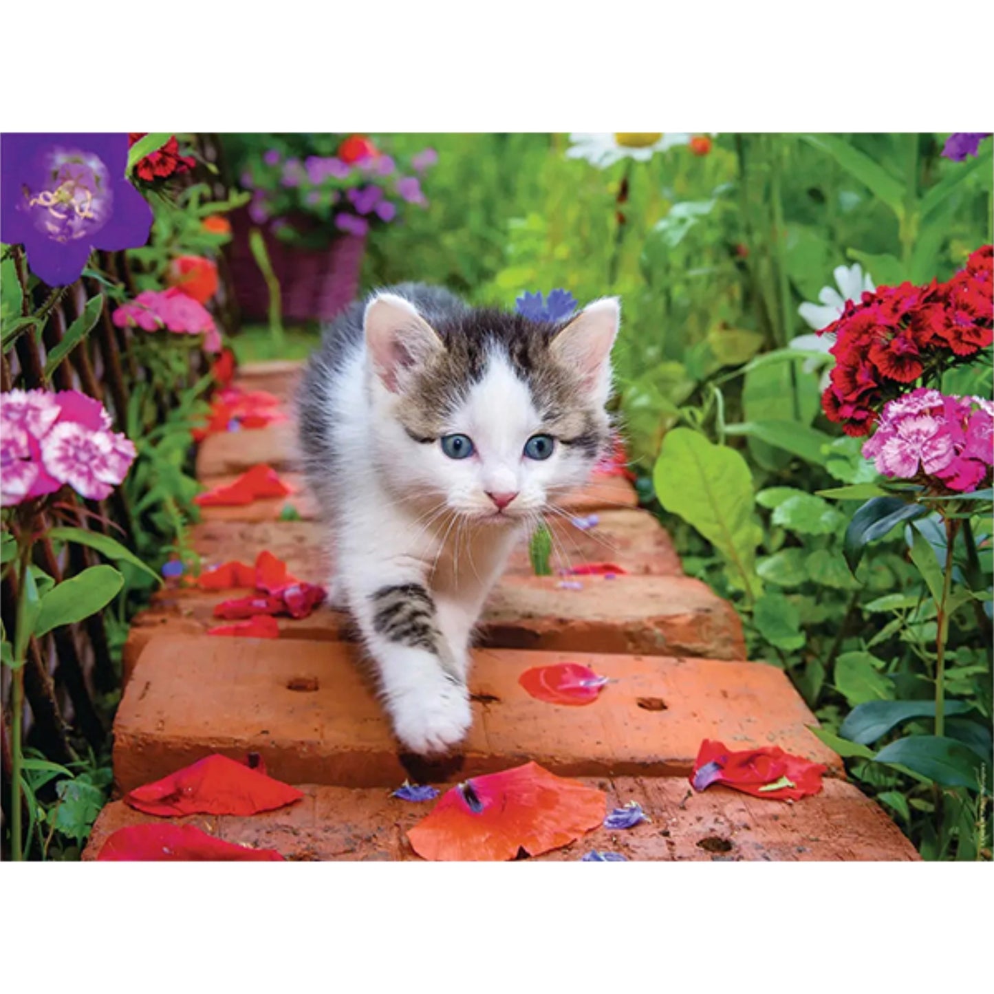 Kitten in the garden | 500 piece