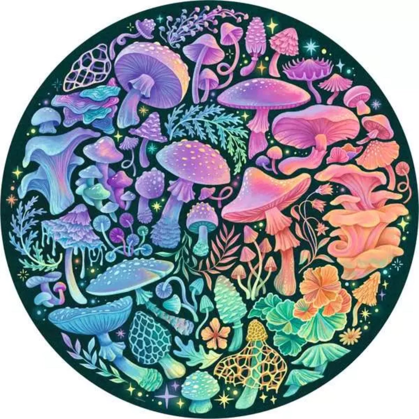 Mushrooms | 500 piece