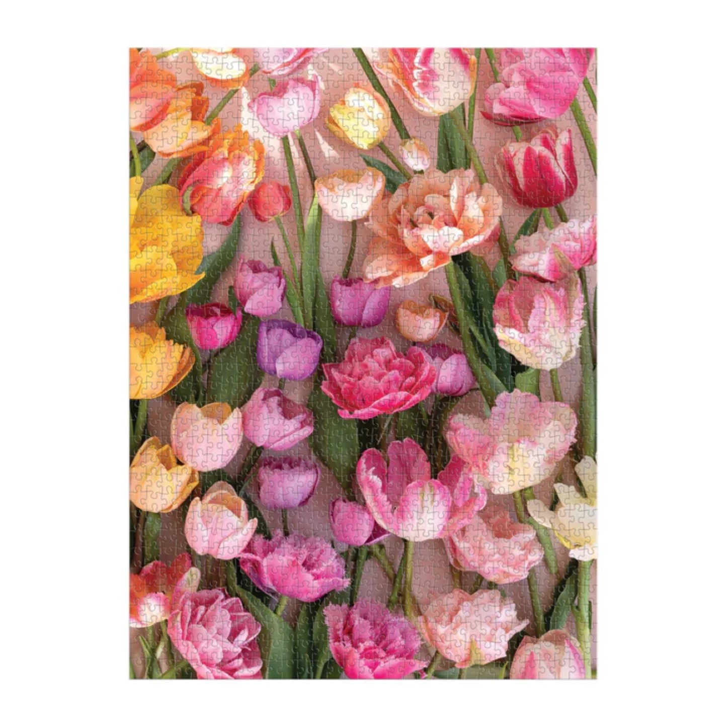Ephemeral Tulips| 1000 pièces