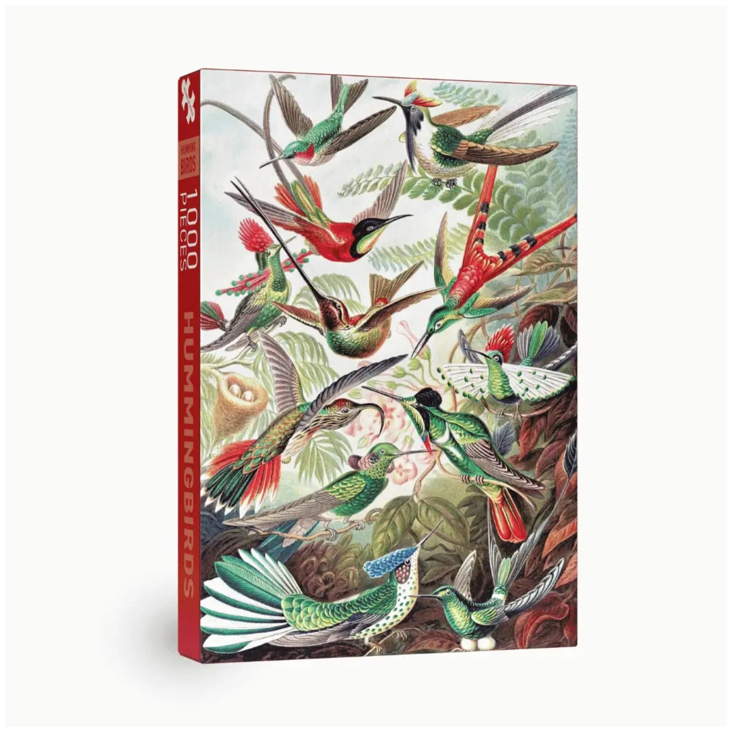 Hummingbirds | 1000 pièces
