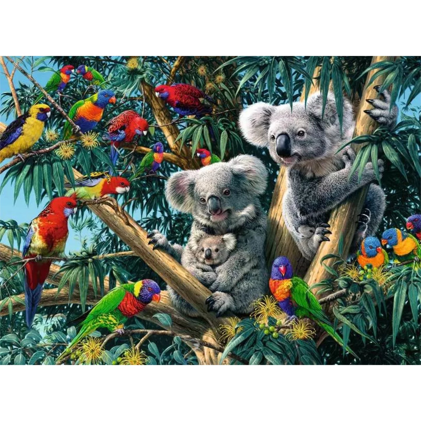 Koalas in a Tree | 500 pièces