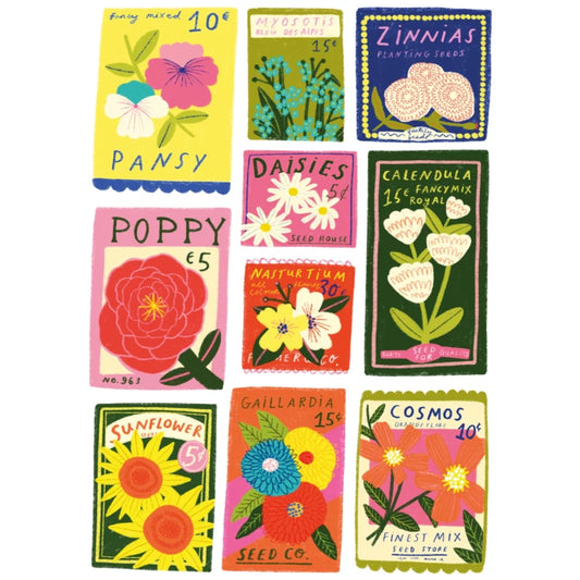 Seeds | 1000 pièces
