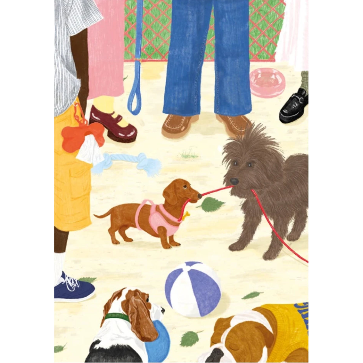 Sortir le chien | 100 pièces