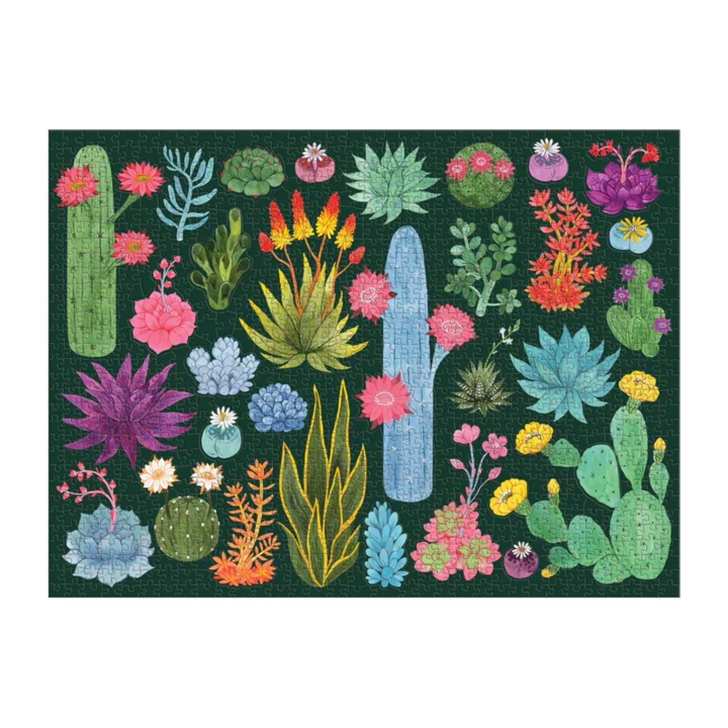 Desert Flora | 1000 pièces