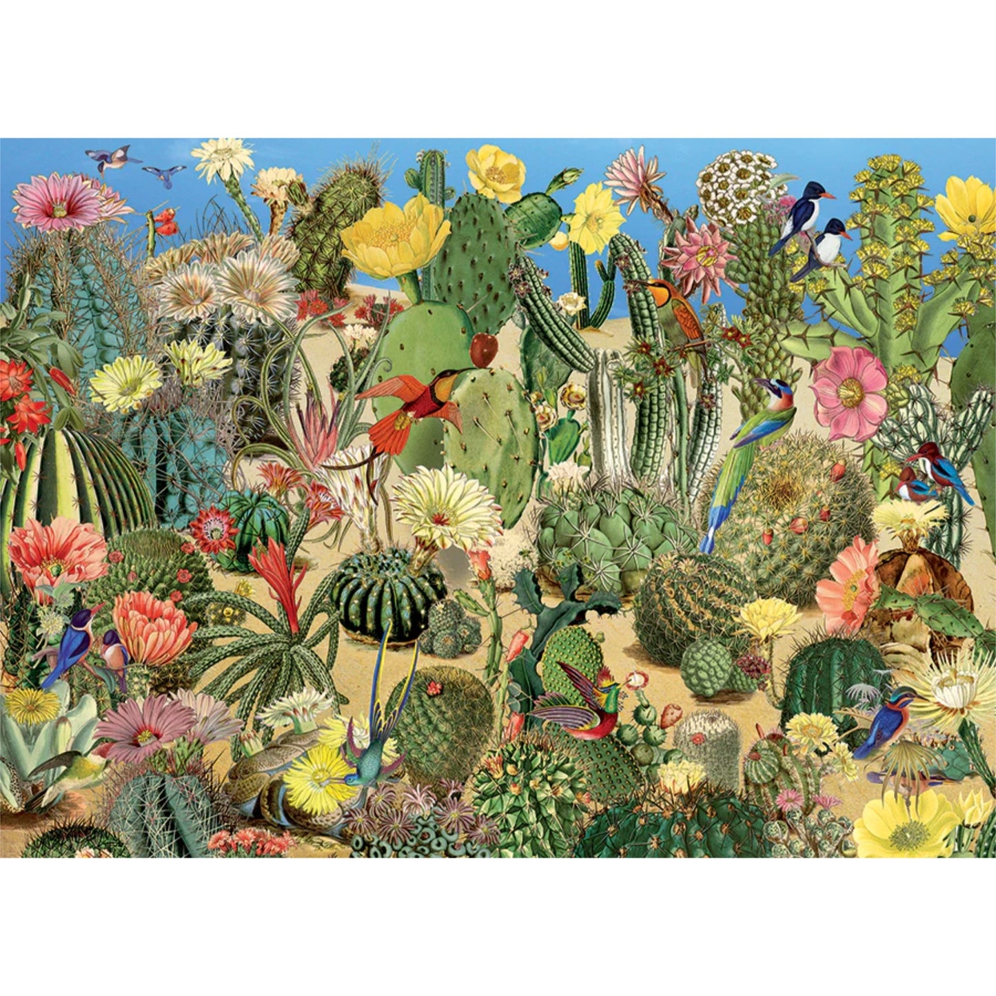 Cactus Garden | 1000 pièces