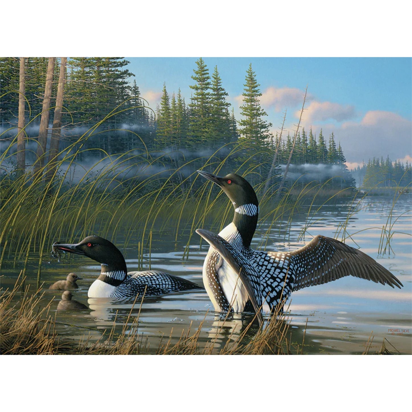 Common Loons | 1000 pièces