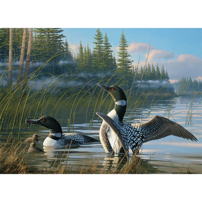 Common Loons | 1000 pièces