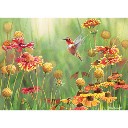Rufous Hummingbird | 500 pièces