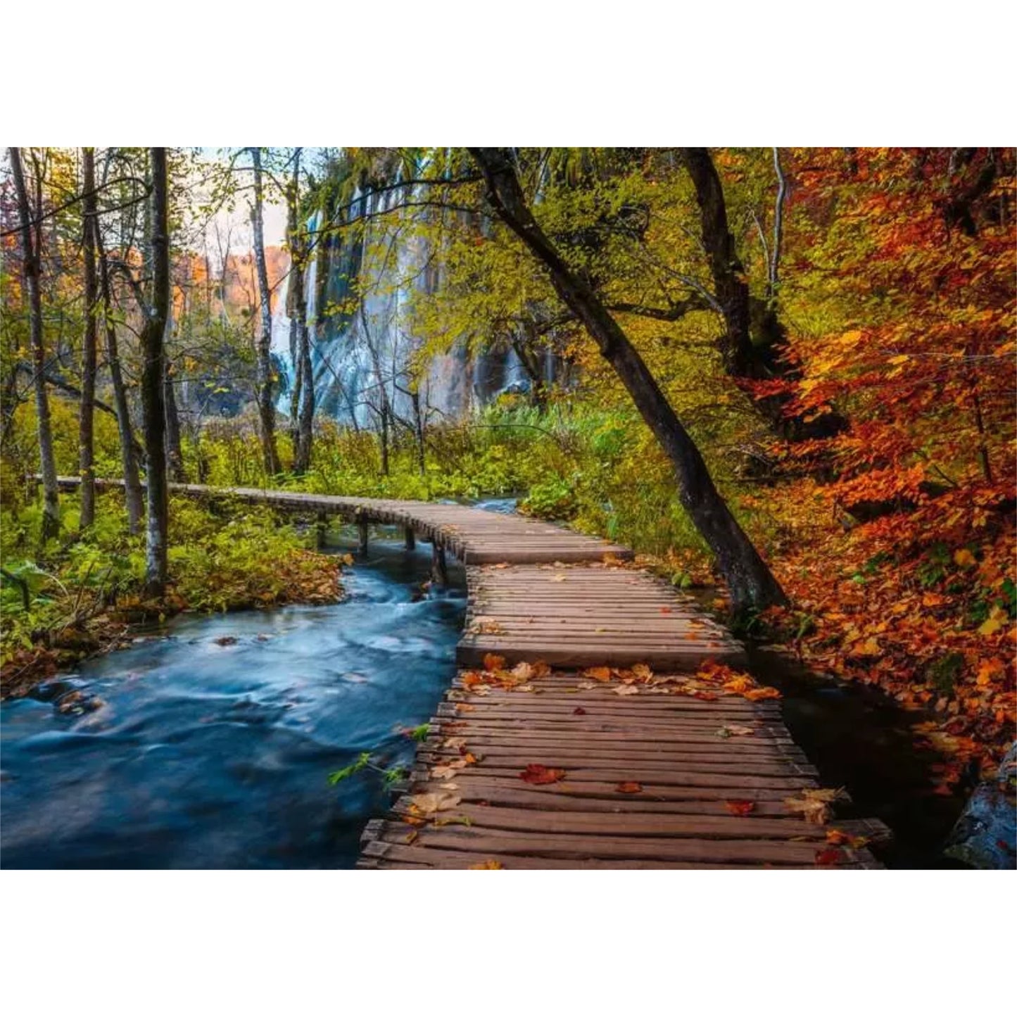 Autumnal Wooden Trail | 1000 piece