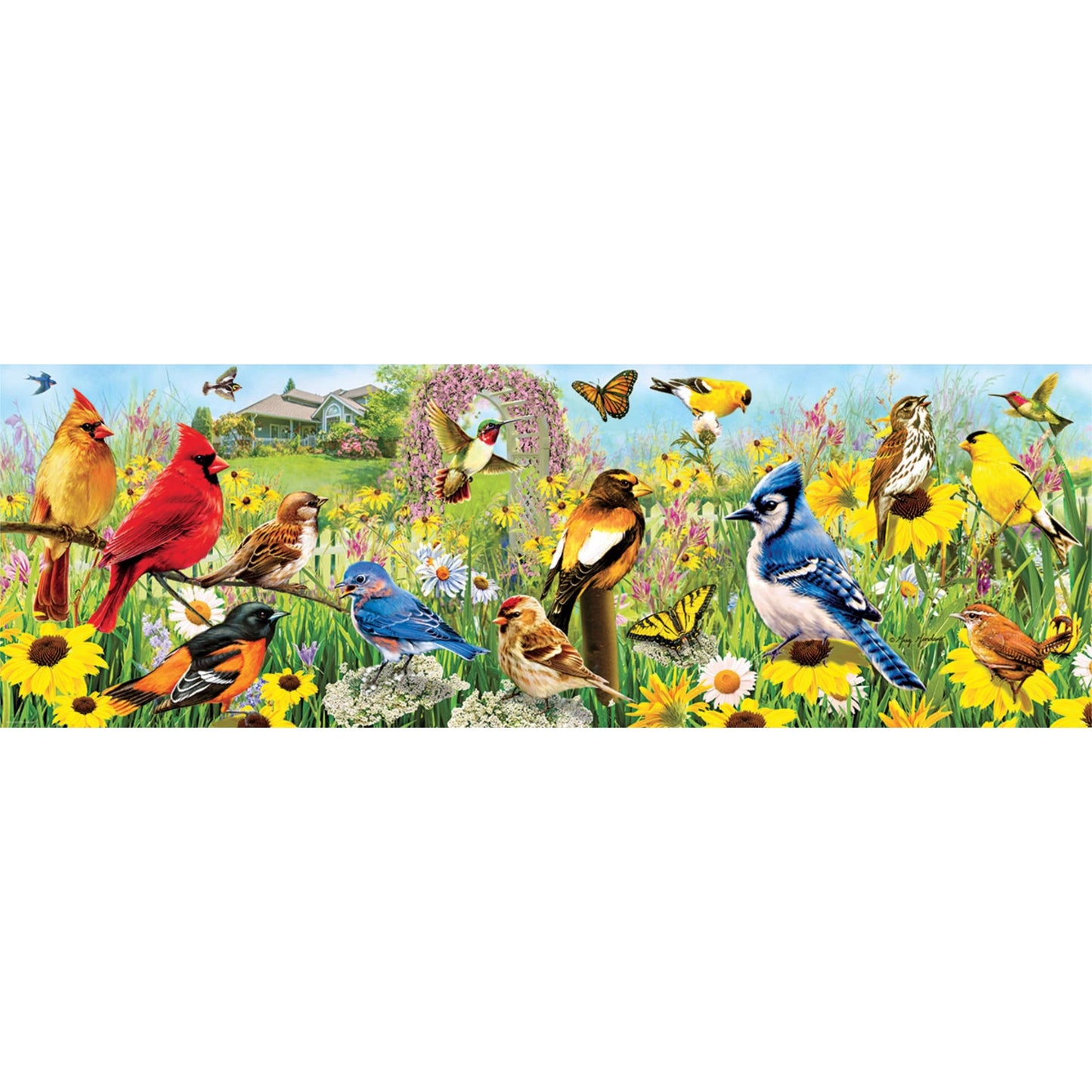Backyard Birds | 1000 piece