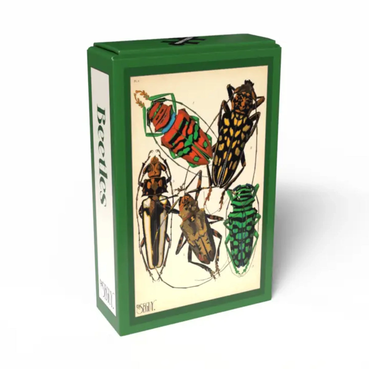 Beetles | 99 pièces
