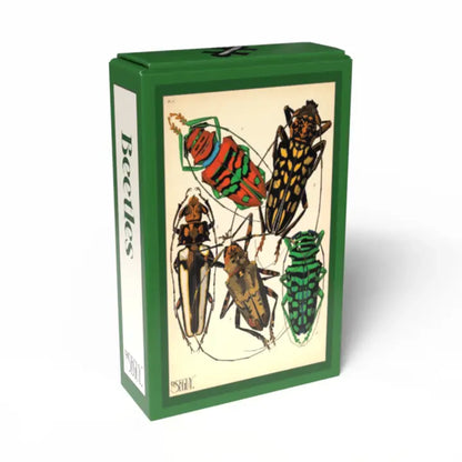 Beetles | 99 pièces