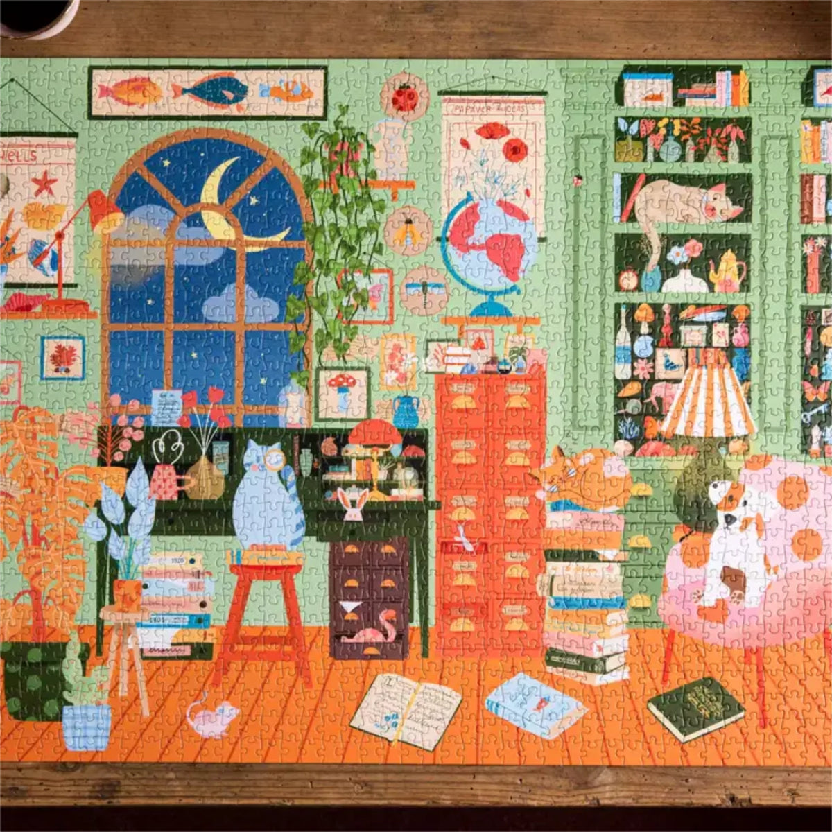 Bureau des curiosités - Trevell | 1000 pieces