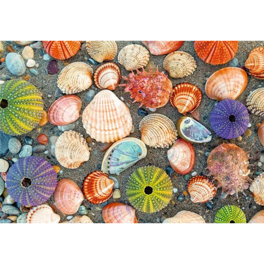 Au bord de la mer | 300 pièces