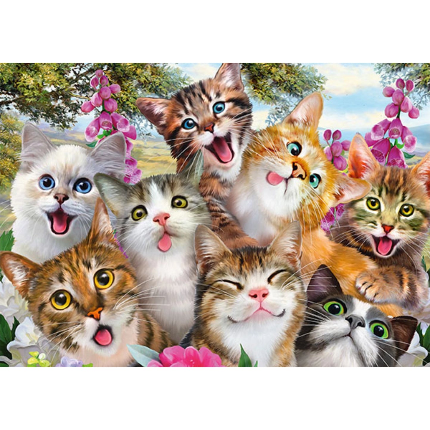 Selfie de chats | 500 pièces