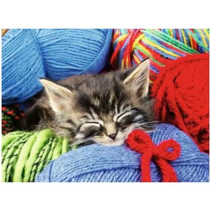 Chaton dans la laine | Grand format 100 pièces