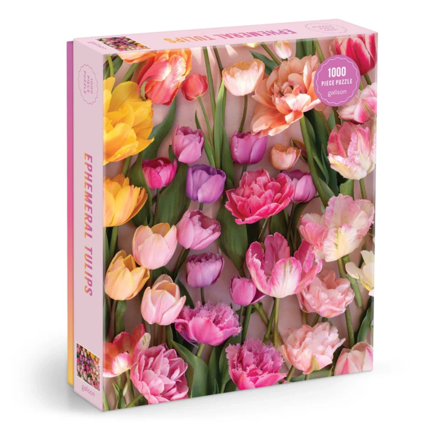Ephemeral Tulips| 1000 pièces