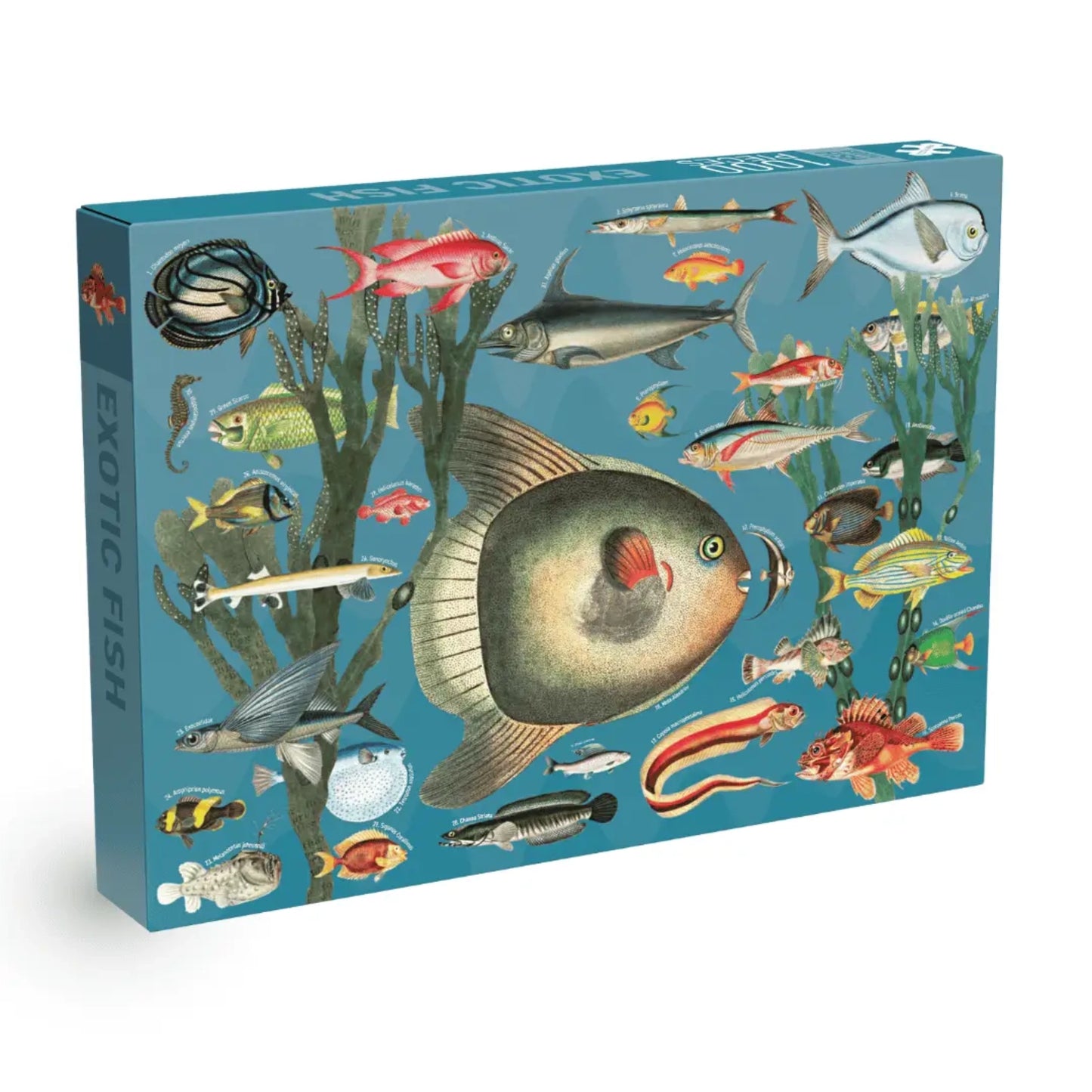 Exotic Fish | 1000 pièces