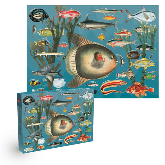 Exotic Fish | 1000 pièces
