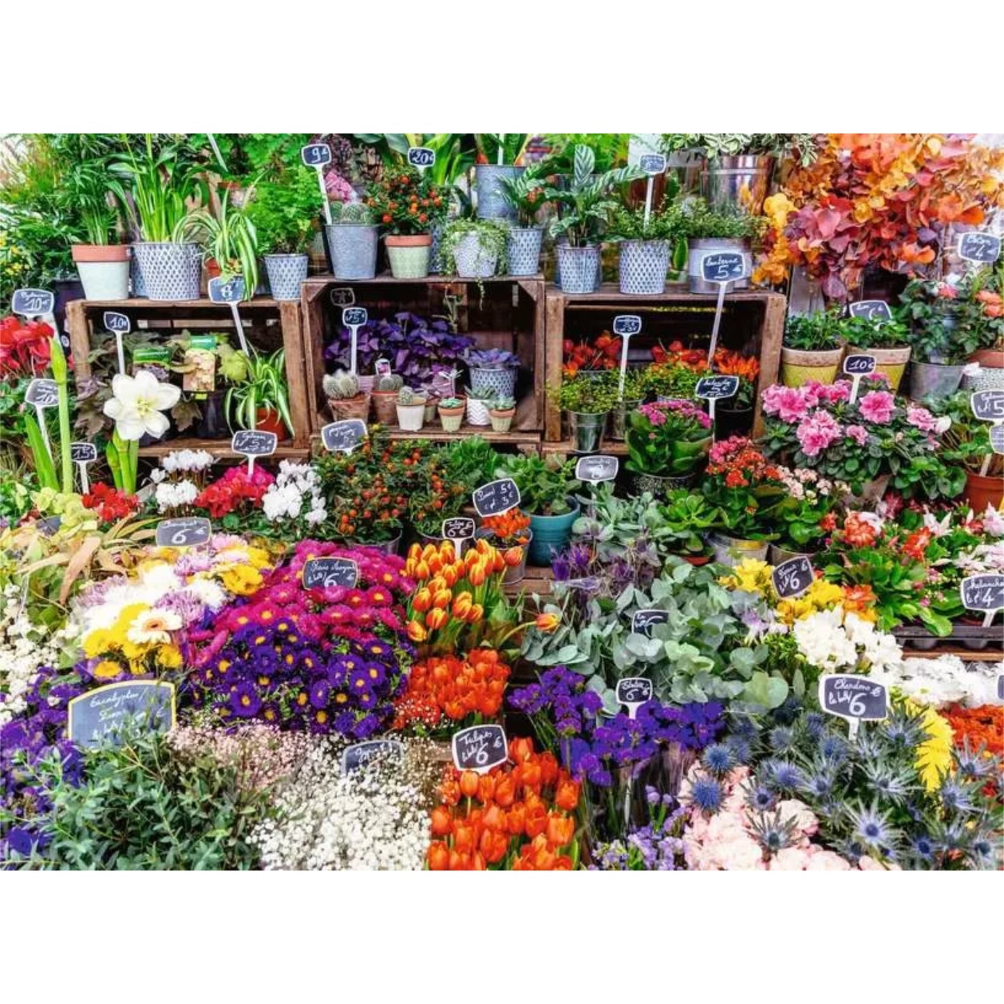 Flower Market, France | 500 pièces