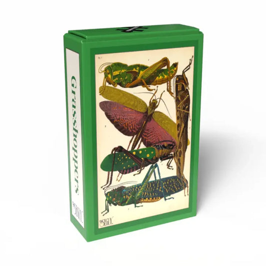 Grasshoppers | 99 pièces