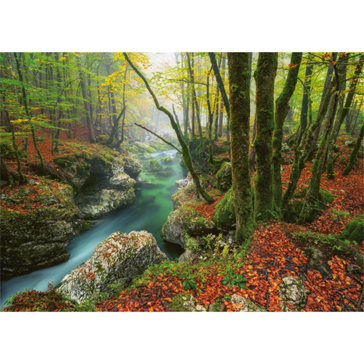 Magic Forests, Little Brook | 1000 piece
