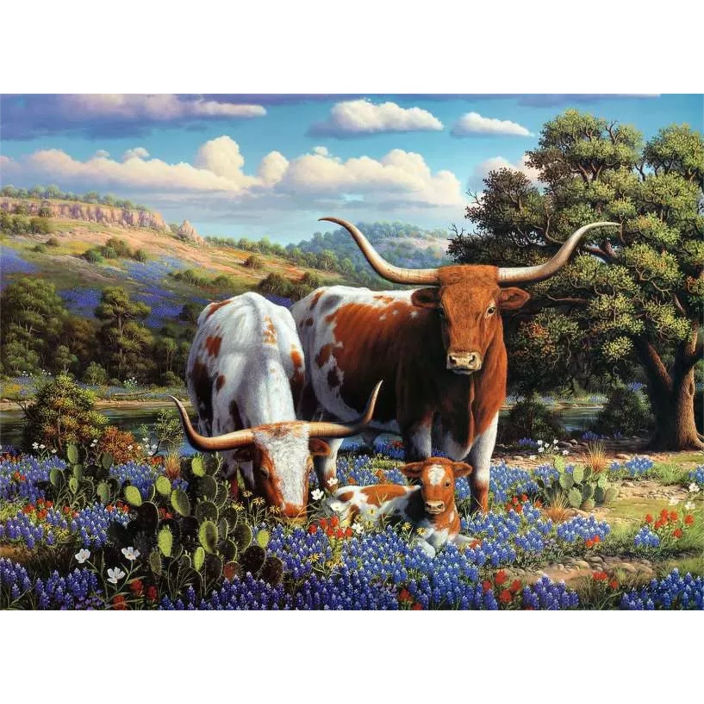 Loving Longhorns| 500 pièces