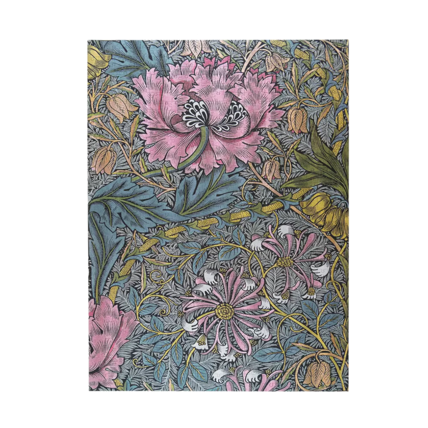 Morris Pink Honeysuckle | 1000 pièces