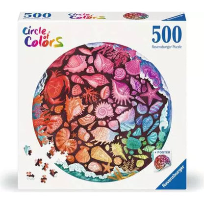 Coquillages | 500 pièces