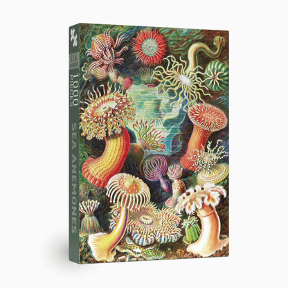 Sea Anemones | 1000 pièces