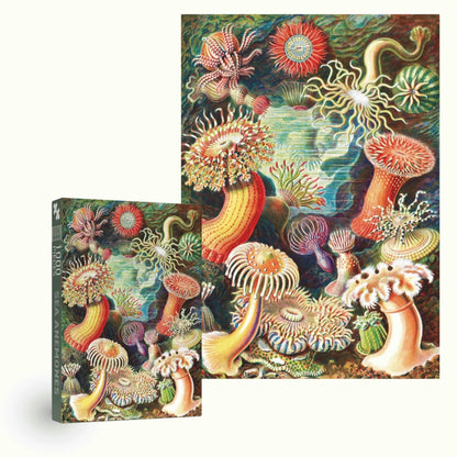 Sea Anemones | 1000 pièces