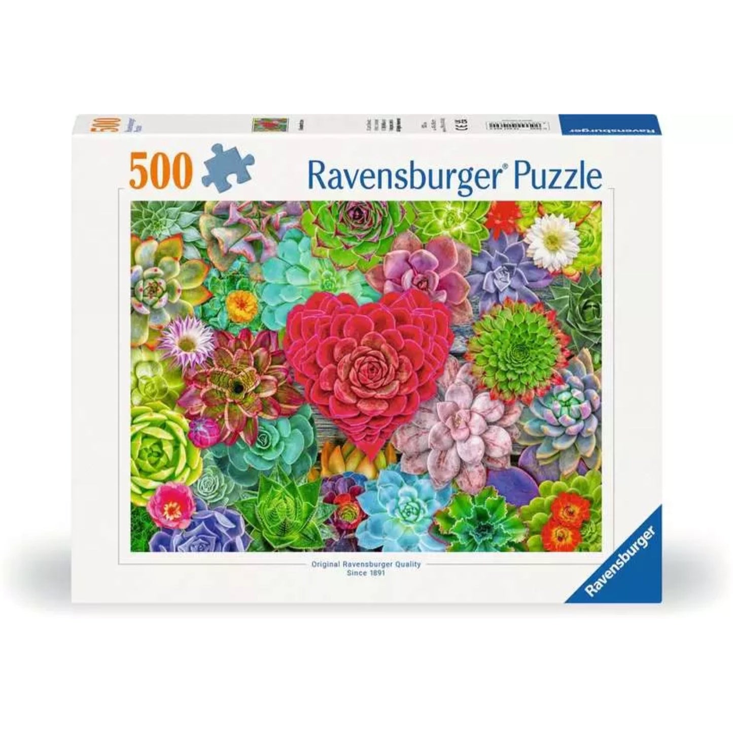 Succulent Love | 500 piece