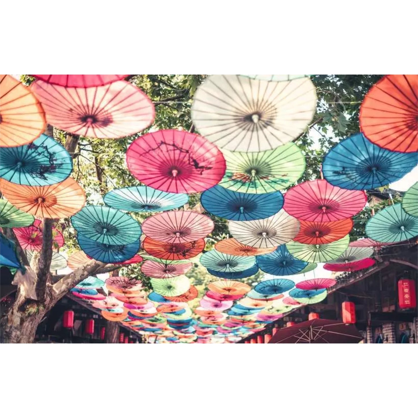 Umbrellas | 200 piece