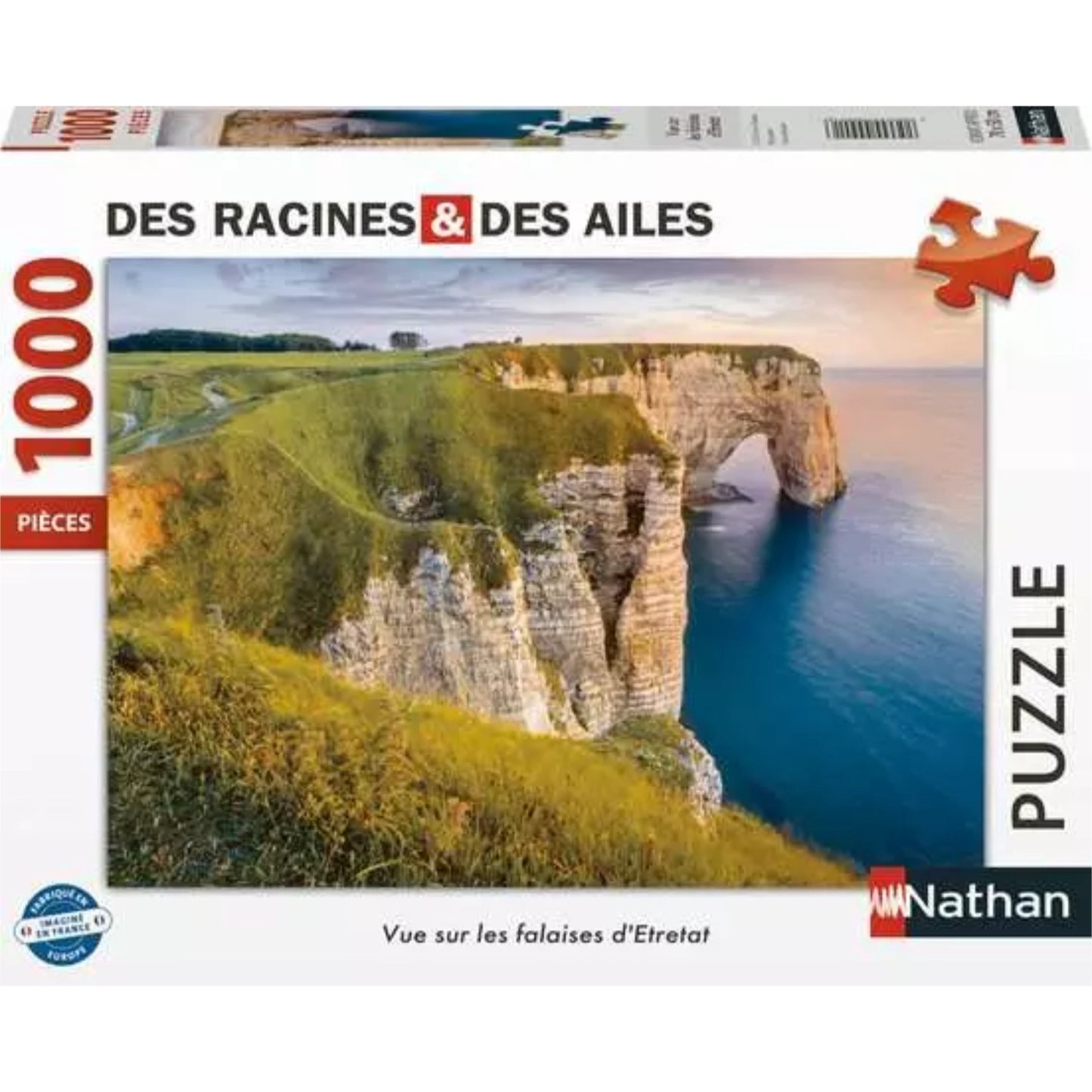 Vue sur les falaises d'Etretat | 1000 pièces