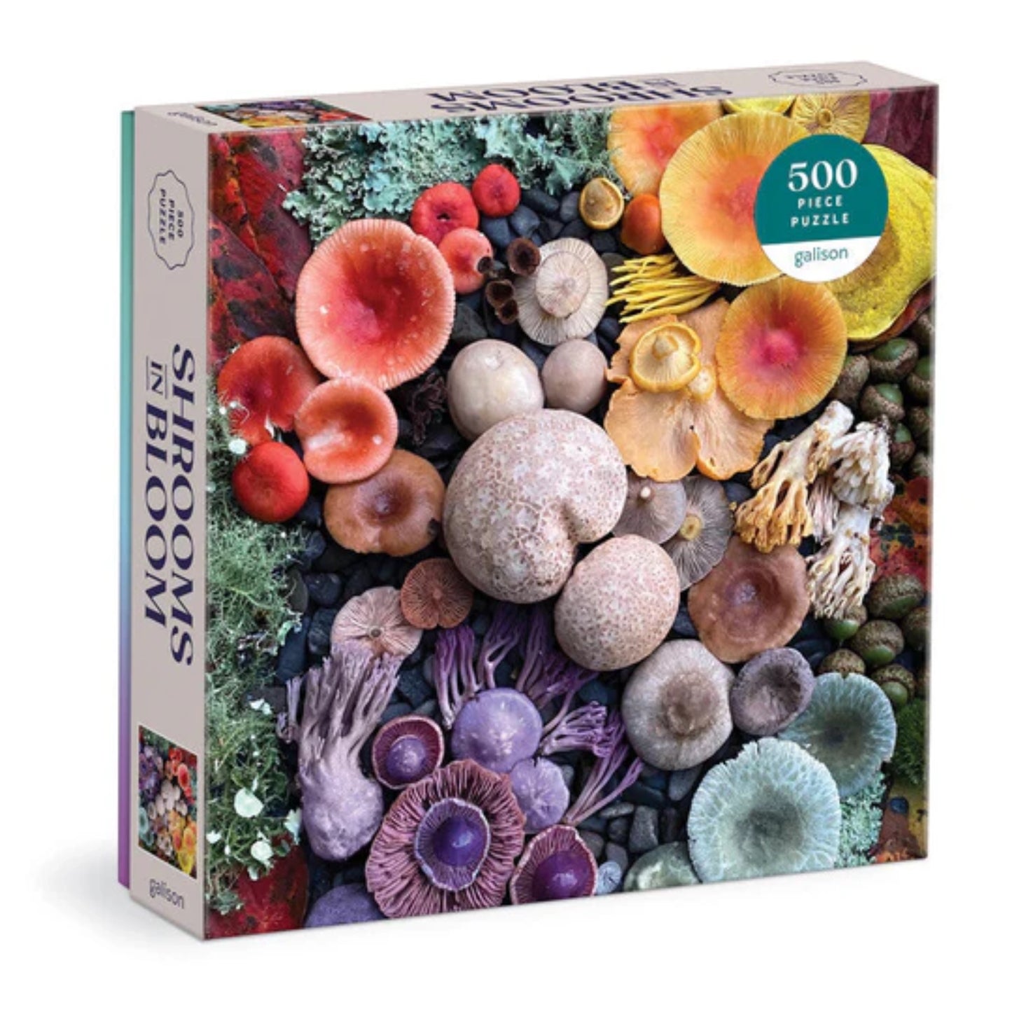 Shrooms in Bloom | 500 pièces
