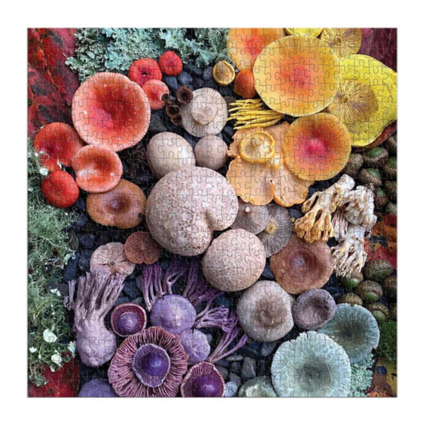 Shrooms in Bloom | 500 pièces
