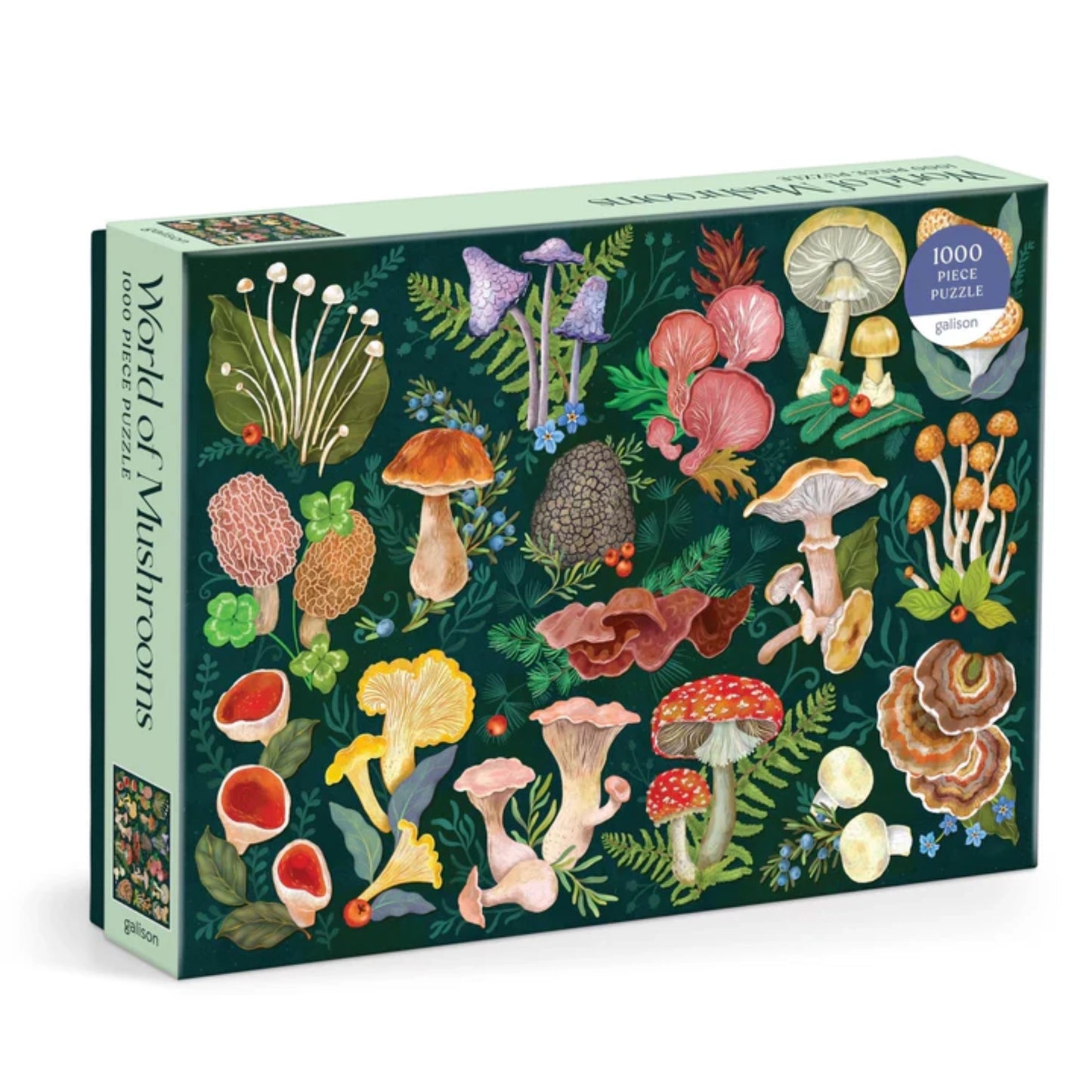World of Mushrooms | 1000 Pièces